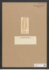 Amphiprora thwaitesiana Grev. (de-Toni-Nr.: Genus 29, Species 1359) Zeichnungen Sammlung Grunow Nr. 2578 (NHMW-BOT-W0369763)